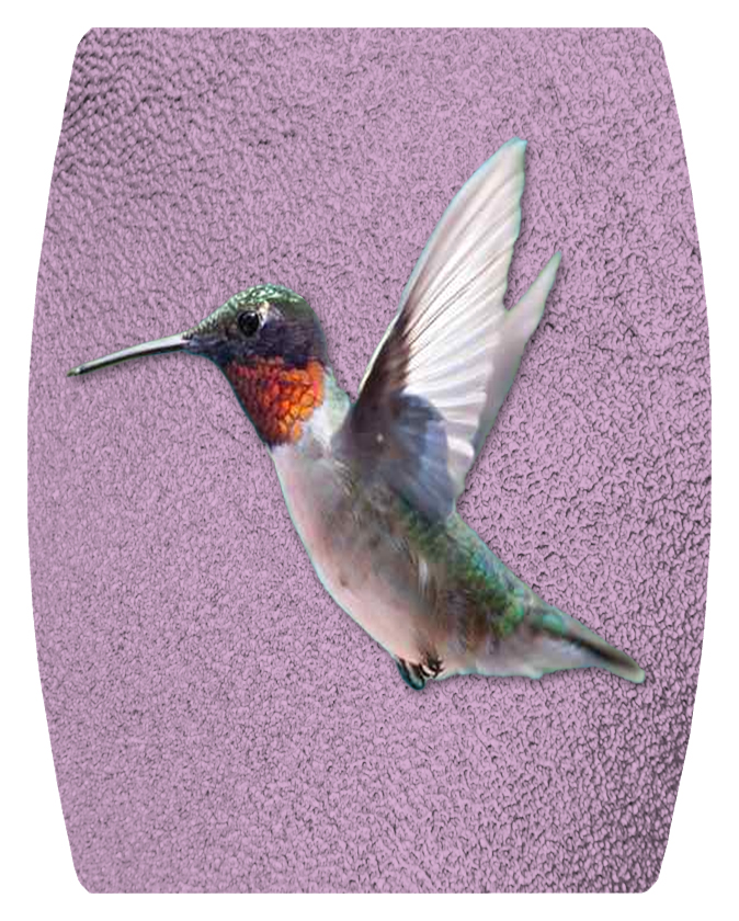 DAREC Hummingbird on Lilac PROOF